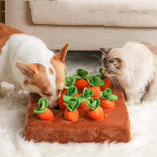 Load image into Gallery viewer, DogCatOther™ Carrot Farm
